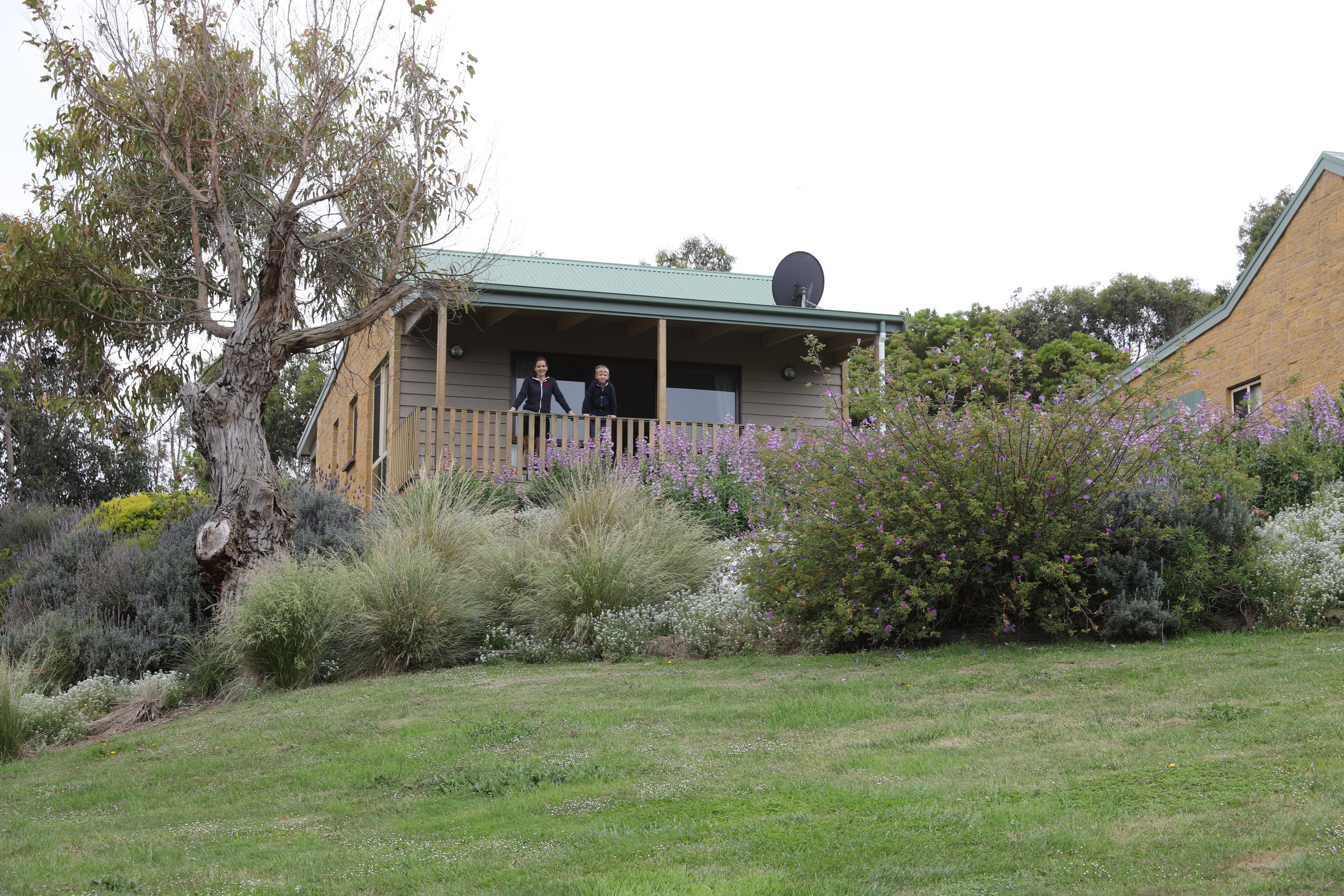 2019 12 19 09 15 50 Canon EOS 5D Mark IV 0001